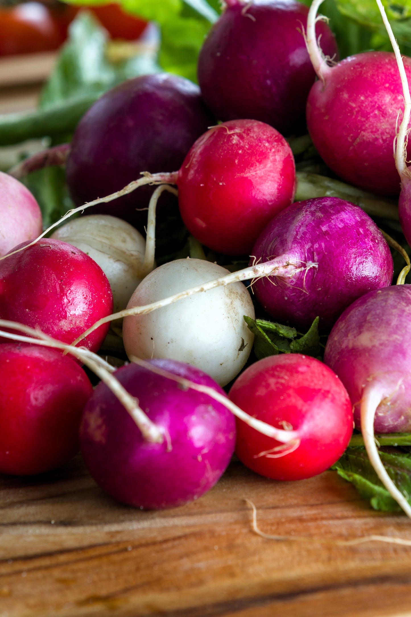 500 Mixed Colors EASTER EGG RADISH Raphanus Sativus Vegetable Seeds