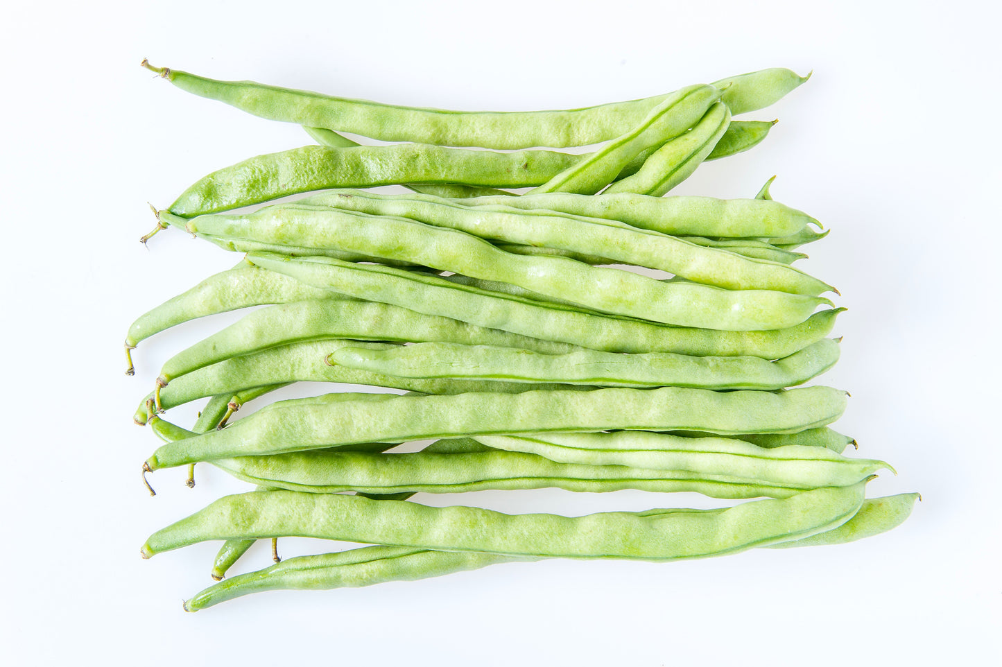 50 KENTUCKY WONDER Pole BEAN Phaseolus Vulgaris Vegetable Seeds