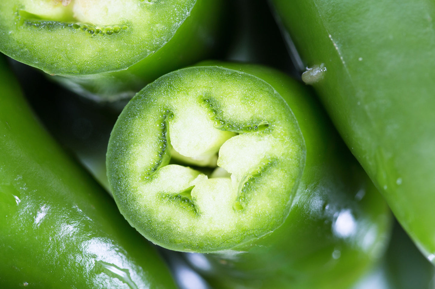 200 Hot SERRANO TAMPIQUENO PEPPER Mexican Chile Capsicum Annuum Vegetable Seeds