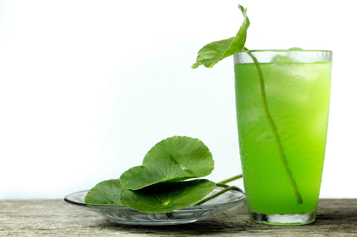 50 SPADELEAF Edible Coinwort Centella Asiatica Gotu Kola Herb Pink Flower Seeds