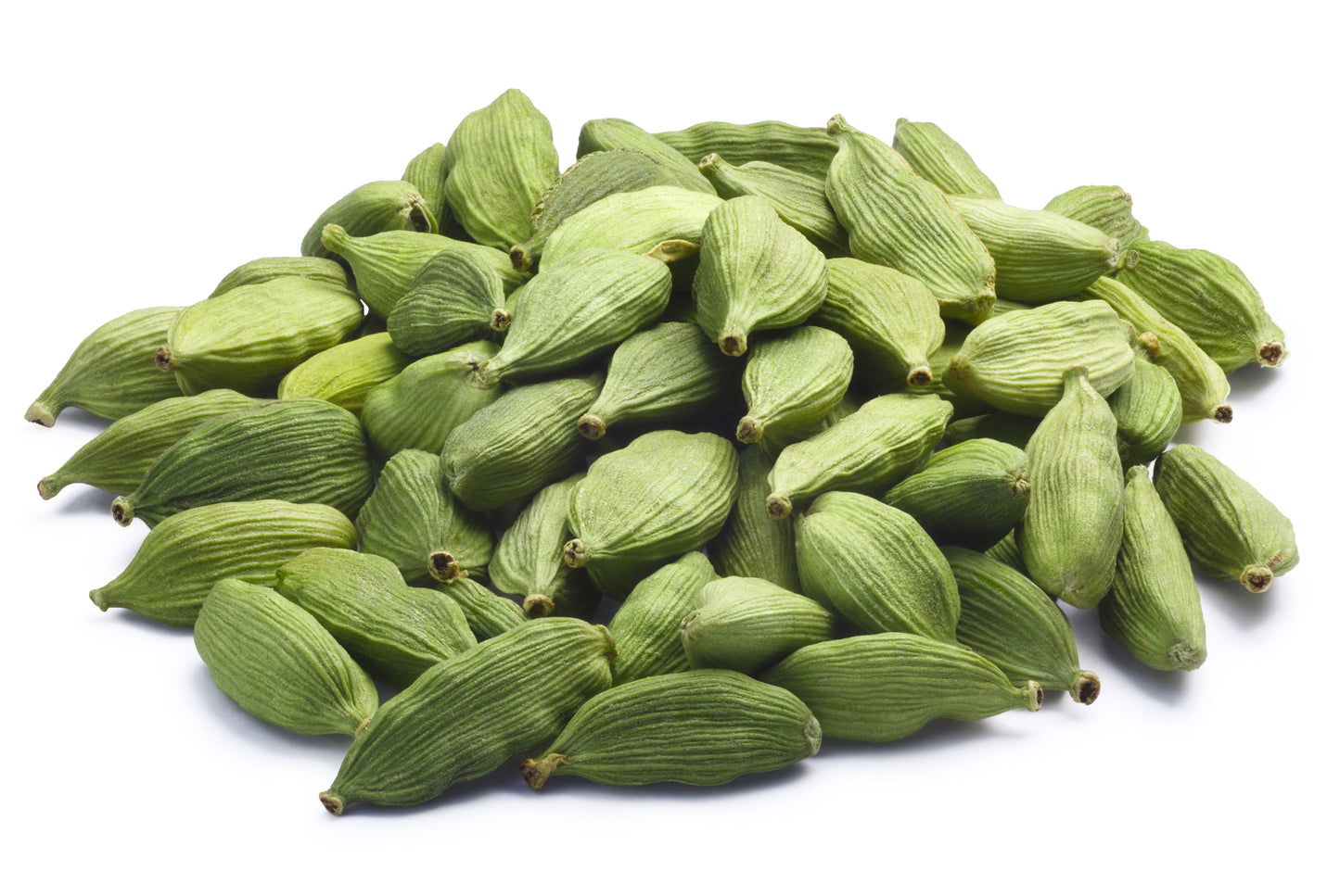 5 CARDAMON CARDAMOM Elettaria Cardamomum HERB Flower Shrub Tree Seeds