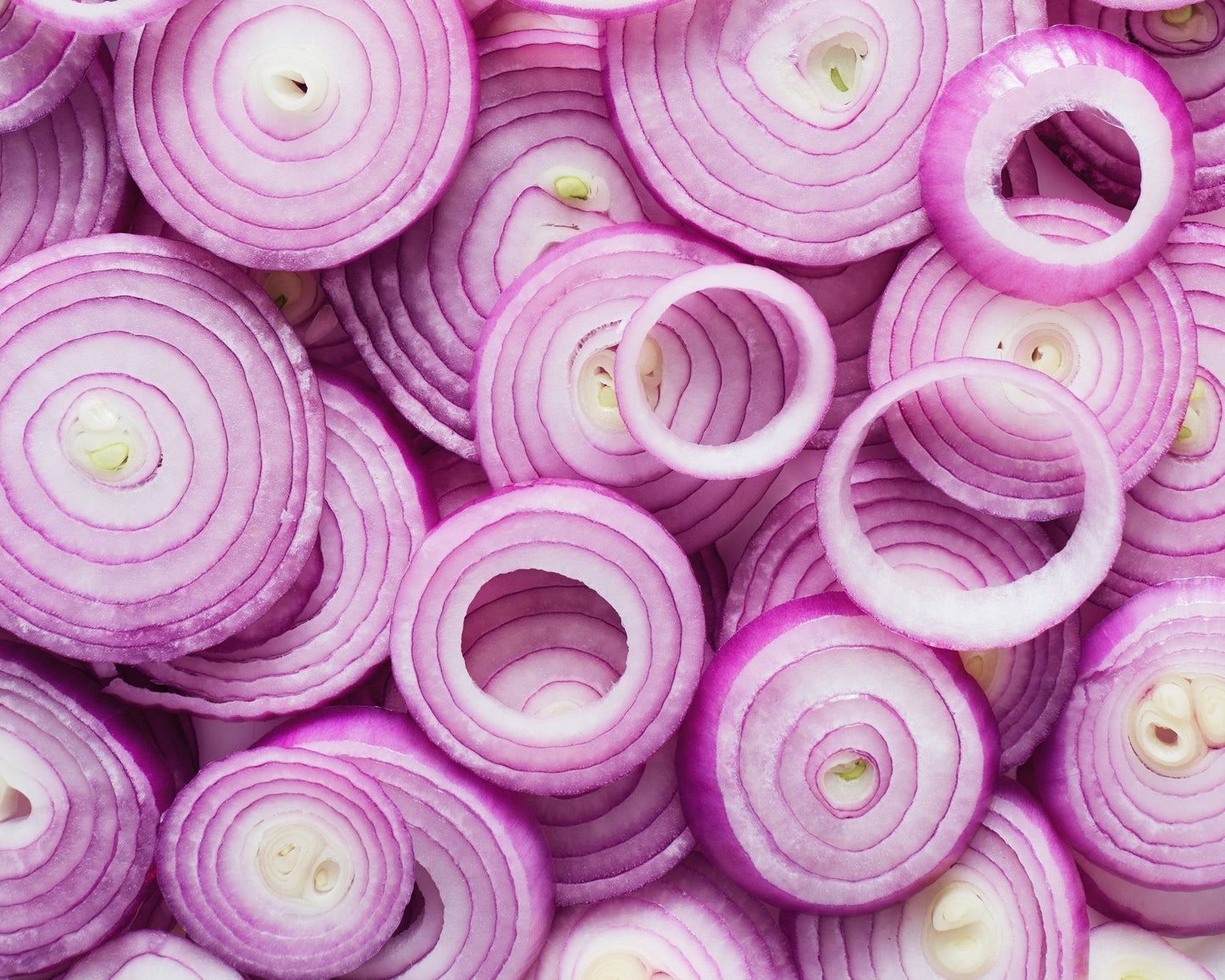 250 RED BURGUNDY ONION Allium Cepa Vegetable Seeds