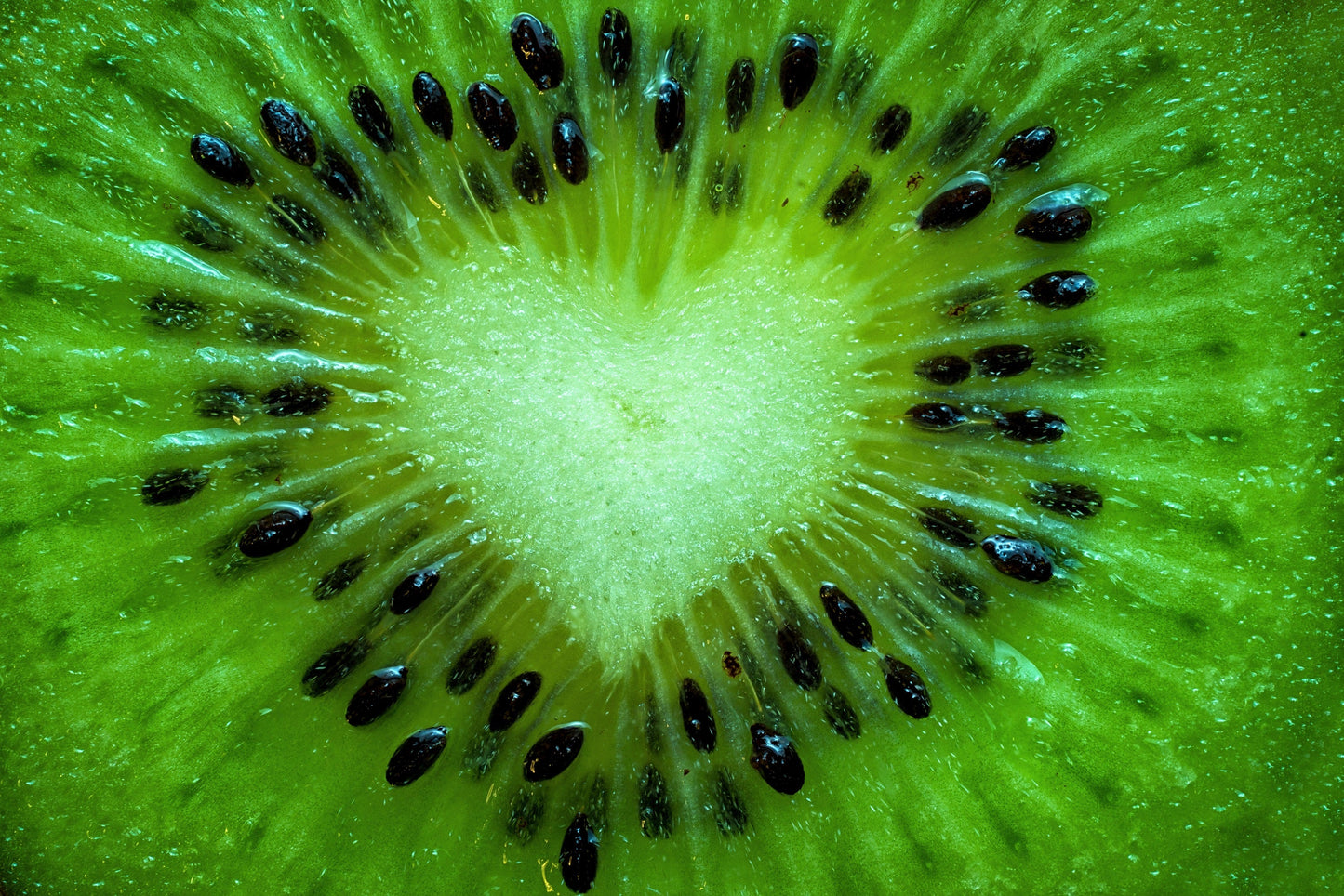 100 KIWI FRUIT Kiwi Actinidia Vine Seeds (Kiwifruit / Hardy Kiwi / Tara Vine / Yang Tao / Chinese Gooseberry / Chinese Strawberry)