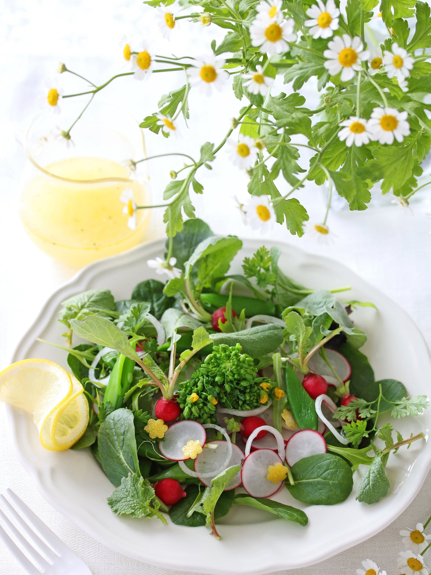 300 FEVERFEW Tanacetum Parthenium Herb Flower Seeds