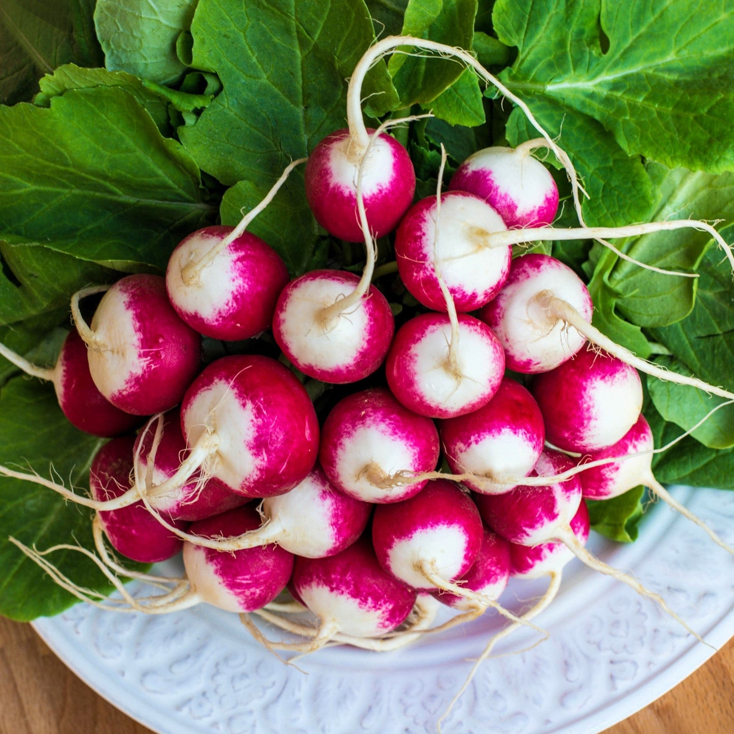 500 SPARKLER WHITE Tip RADISH Sweet European Red Raphanus Sativus Vegetable Seed