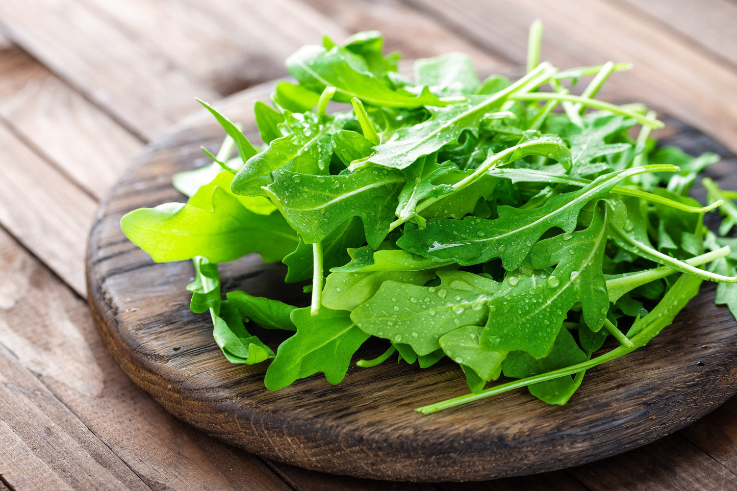 2000 ARUGULA Eruca Vesicaria Sativa Greens Vegetable Seeds