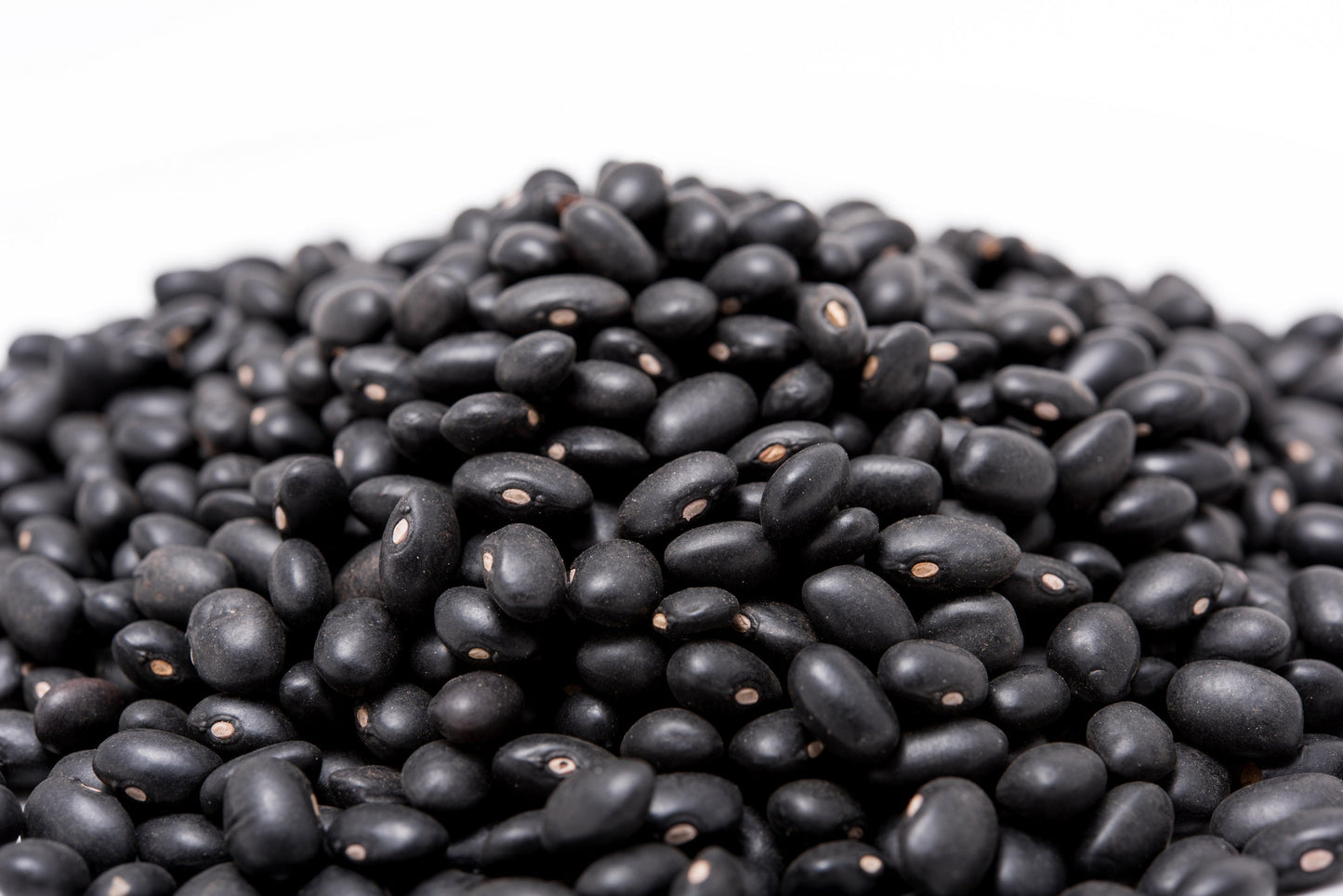 50 BLACK BEAN (Black Turtle Bush Bean) Phaseolus Vulgaris Vegetable Seeds