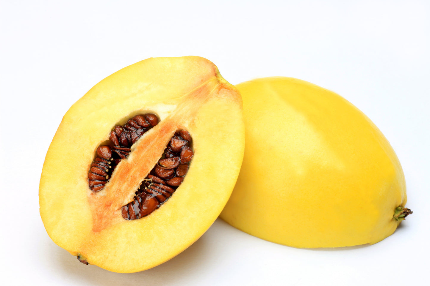 20 Chinese QUINCE FRUIT TREE Chaenomeles Sinensis Pseudocydonia Fruit Flower Seeds Thornless