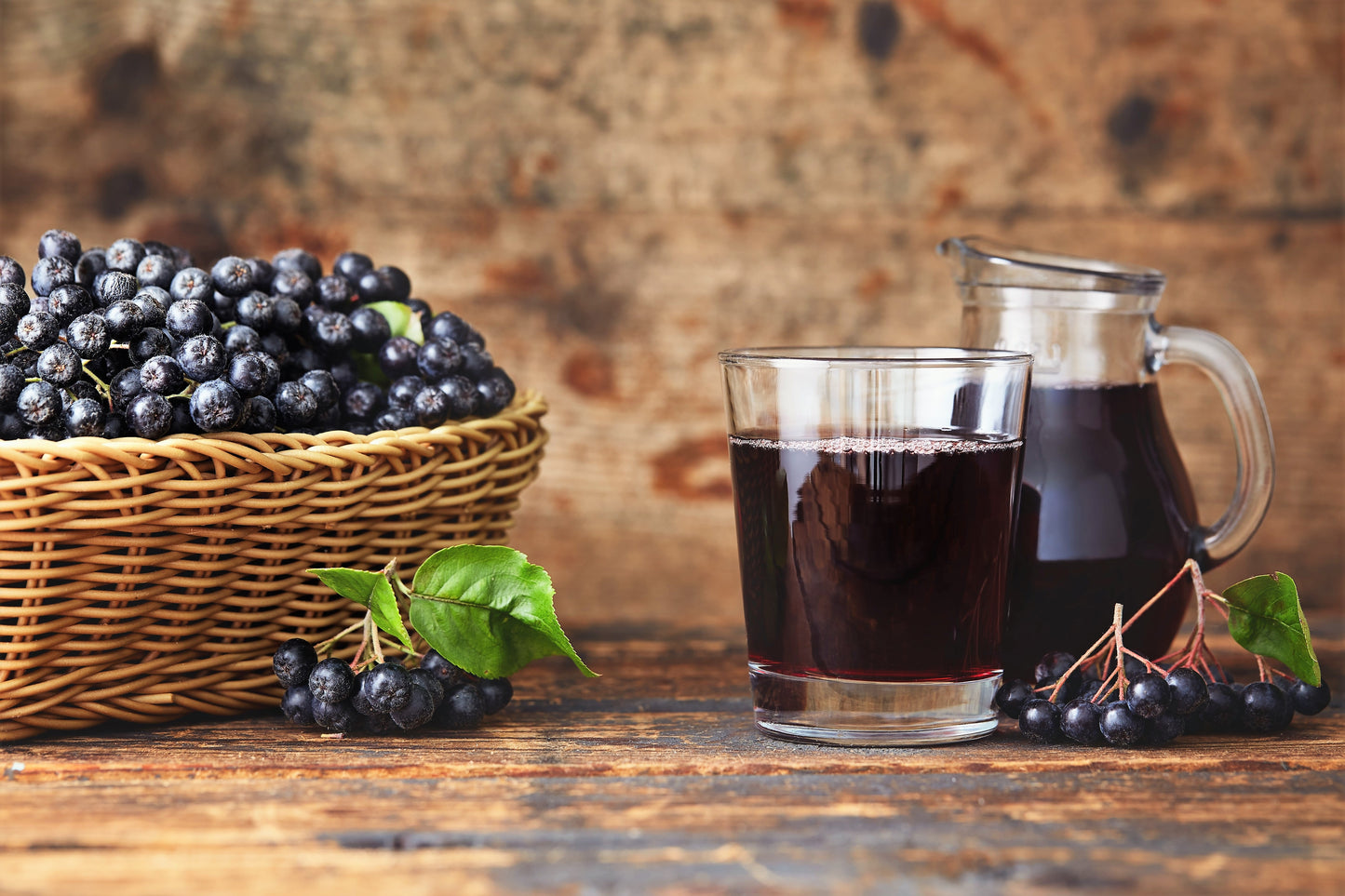 50 BLACK CHOKEBERRY Aronia Melanocarpa White Flower Fruit Shrub Seeds