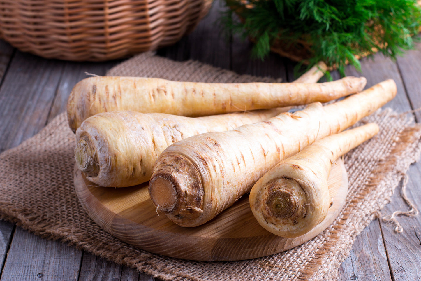 1000 PARSNIP Improved HOLLOW CROWN Pastinaca Sativa White Root Vegetable Seeds
