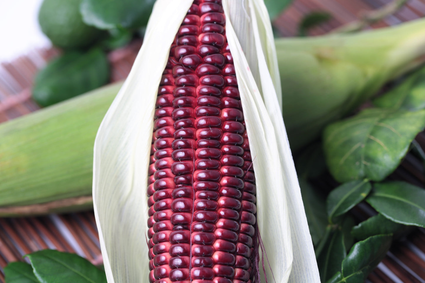 35 BLOODY BUTCHER Red CORN Edible & Ornamental Heirloom Zea Mays Vegetable Seeds