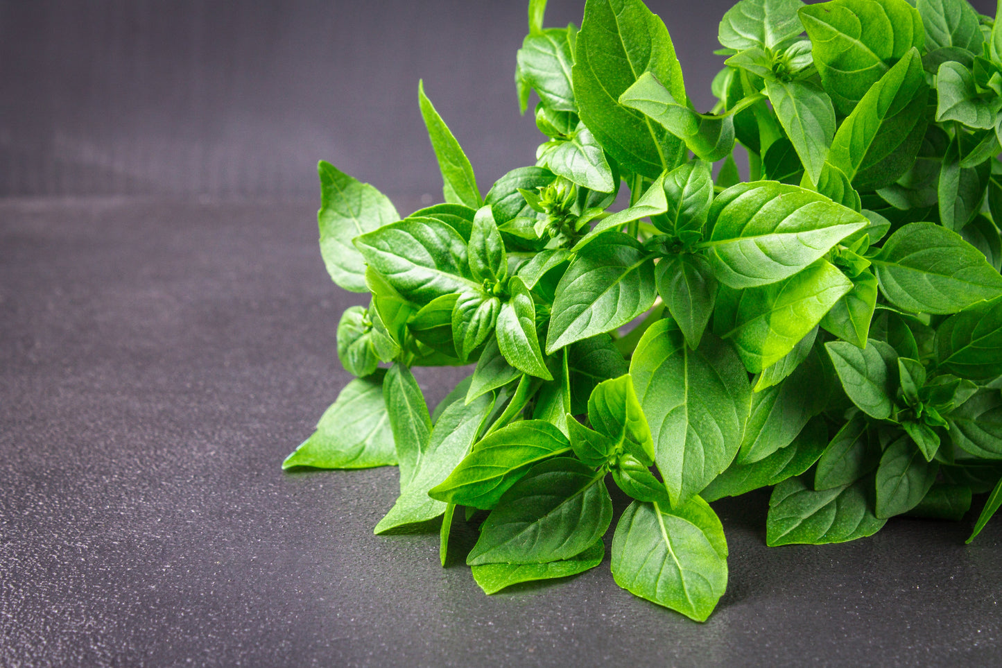 1500 LEMON BASIL Ocimum Basilicum HERB Flower Seeds
