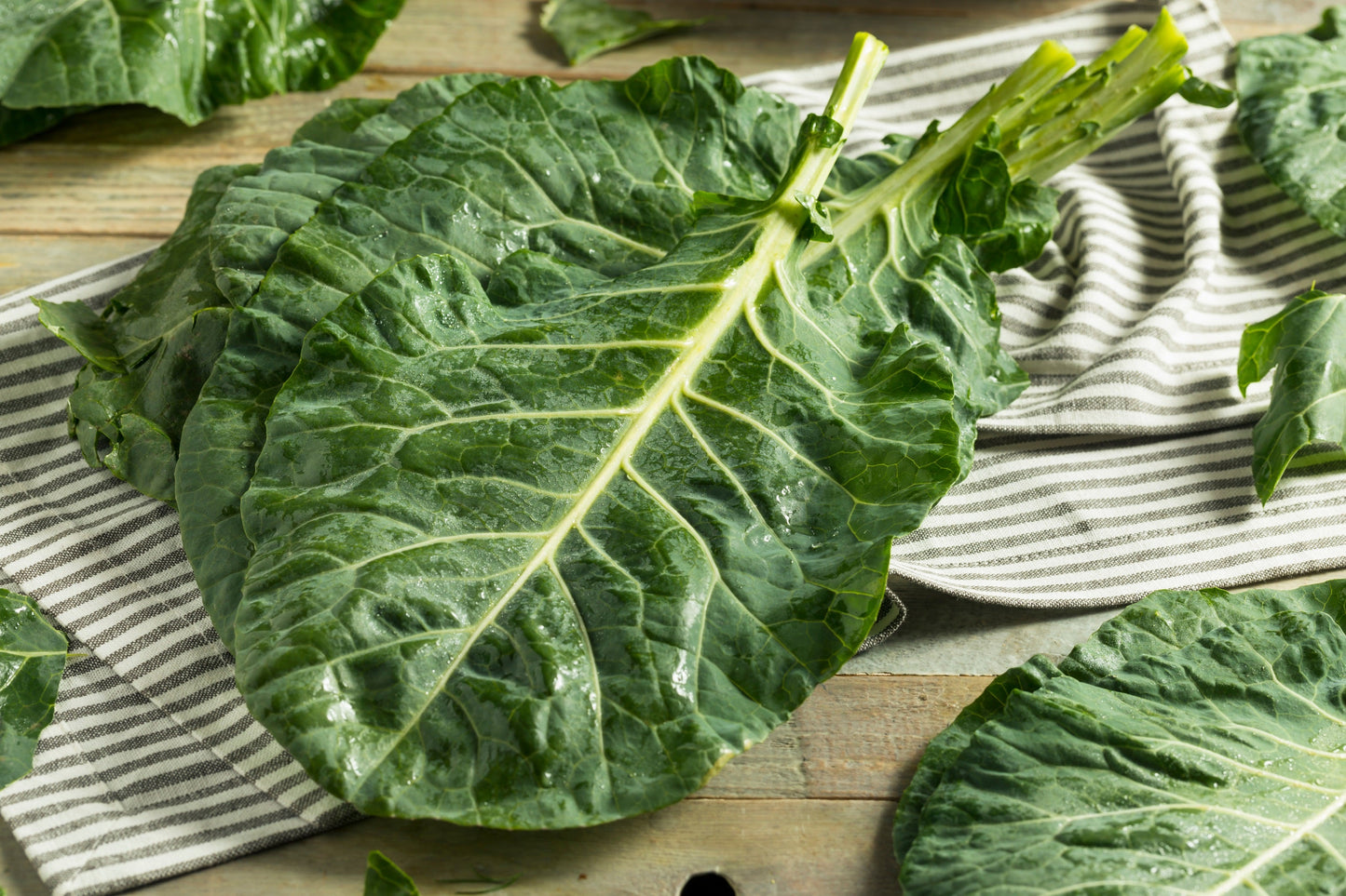 250 VATES COLLARDS Collard Greens Brassica Oleracea Acephala Vegetable Seeds
