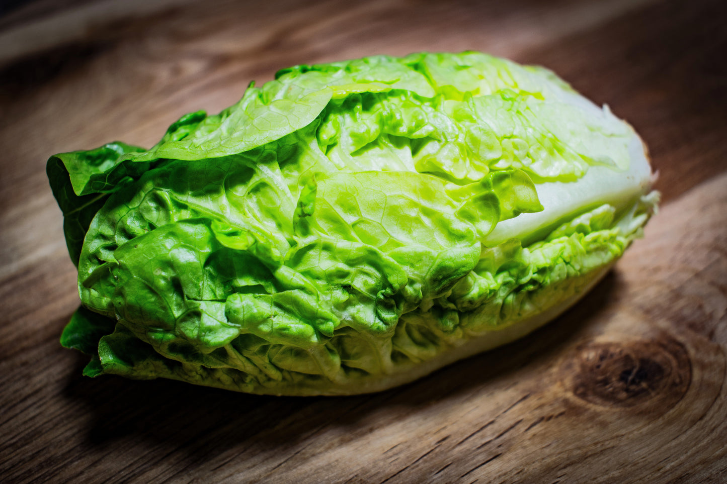 3000 LITTLE GEM LETTUCE Small Romaine Butterhead Lactuca Sativa Vegetable Seeds