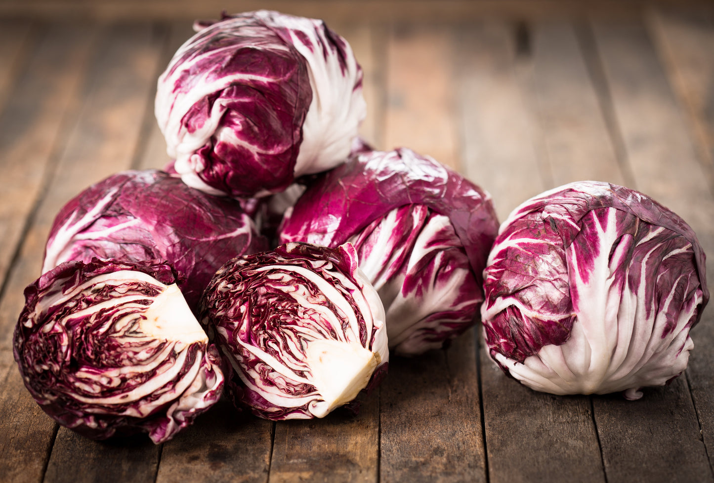 100 ROSSA Di VERONA RADICCHIO / Endive Italian Cichorium Intybus Vegetable Seeds