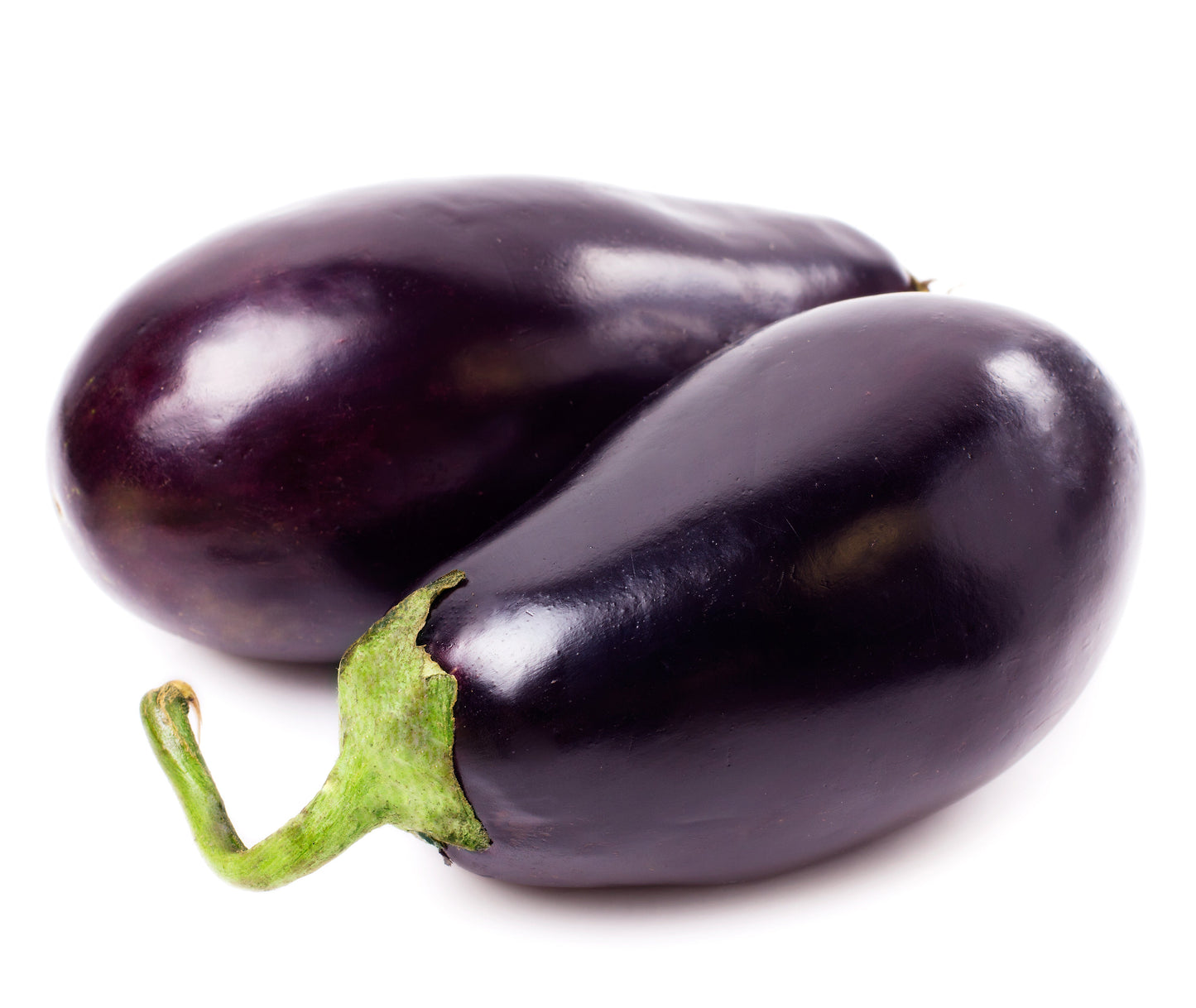 1000 BLACK BEAUTY EGGPLANT Solanum Melongena Esculentum Vegetable Seeds