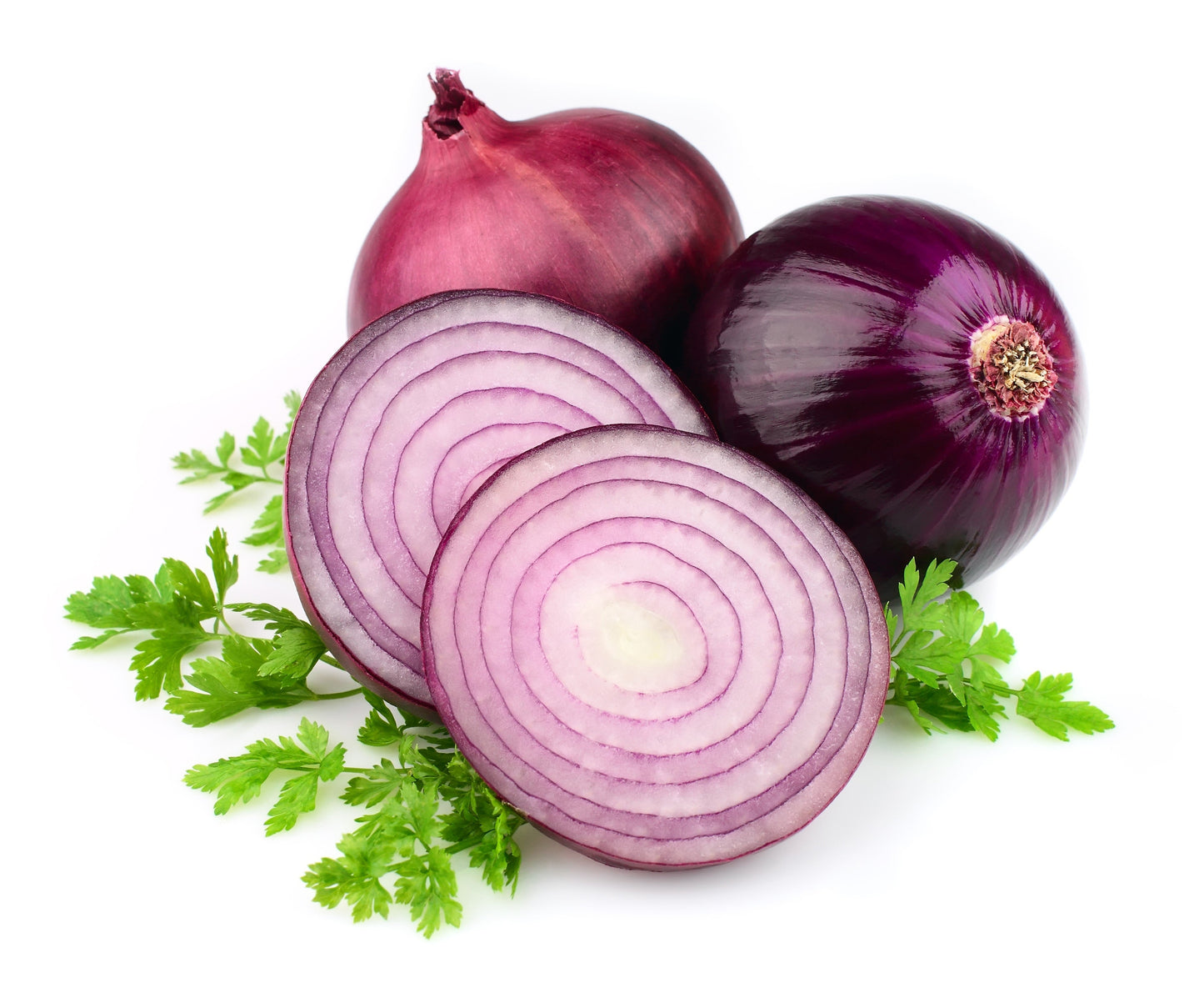 250 RED BURGUNDY ONION Allium Cepa Vegetable Seeds