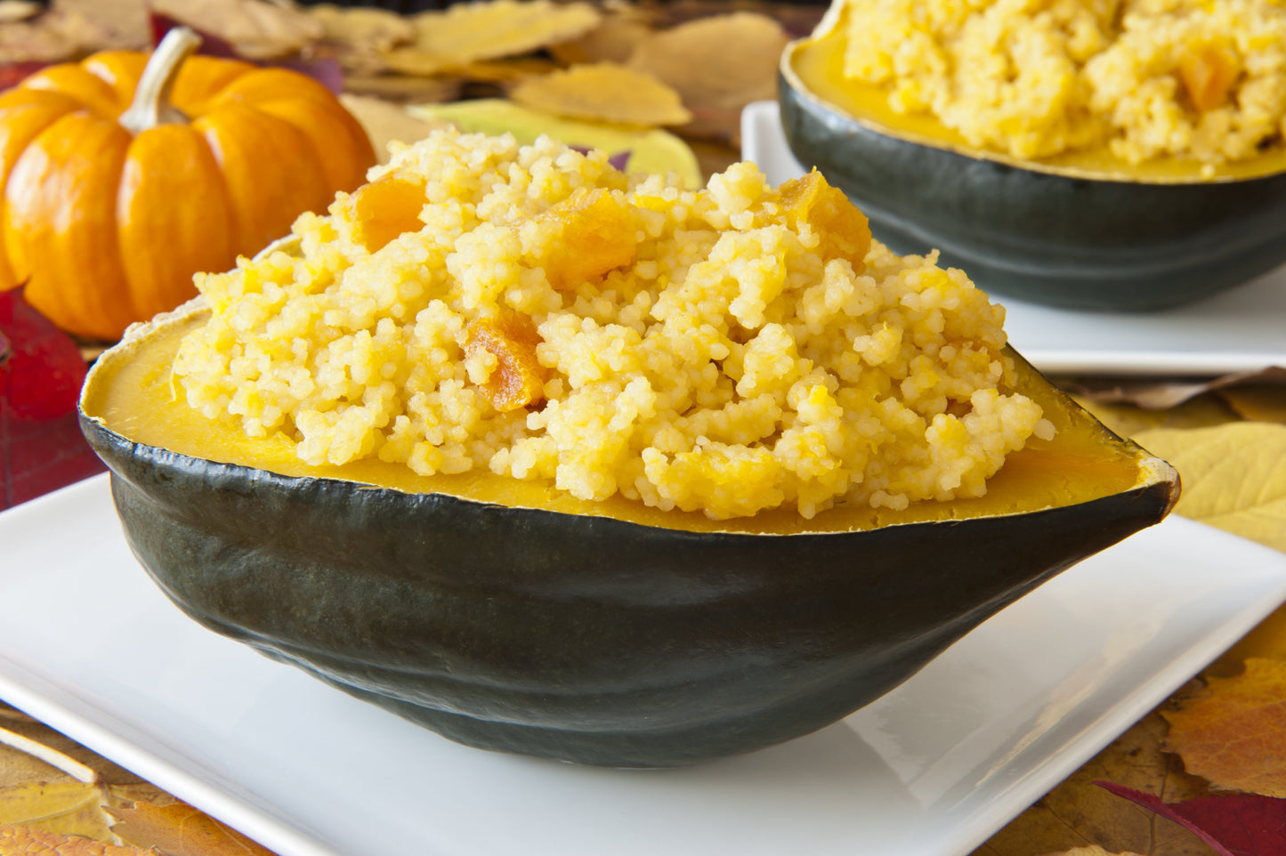 50 TABLE KING Acorn SQUASH Winter or Summer Cucurbita Maxima Vegetable Seeds