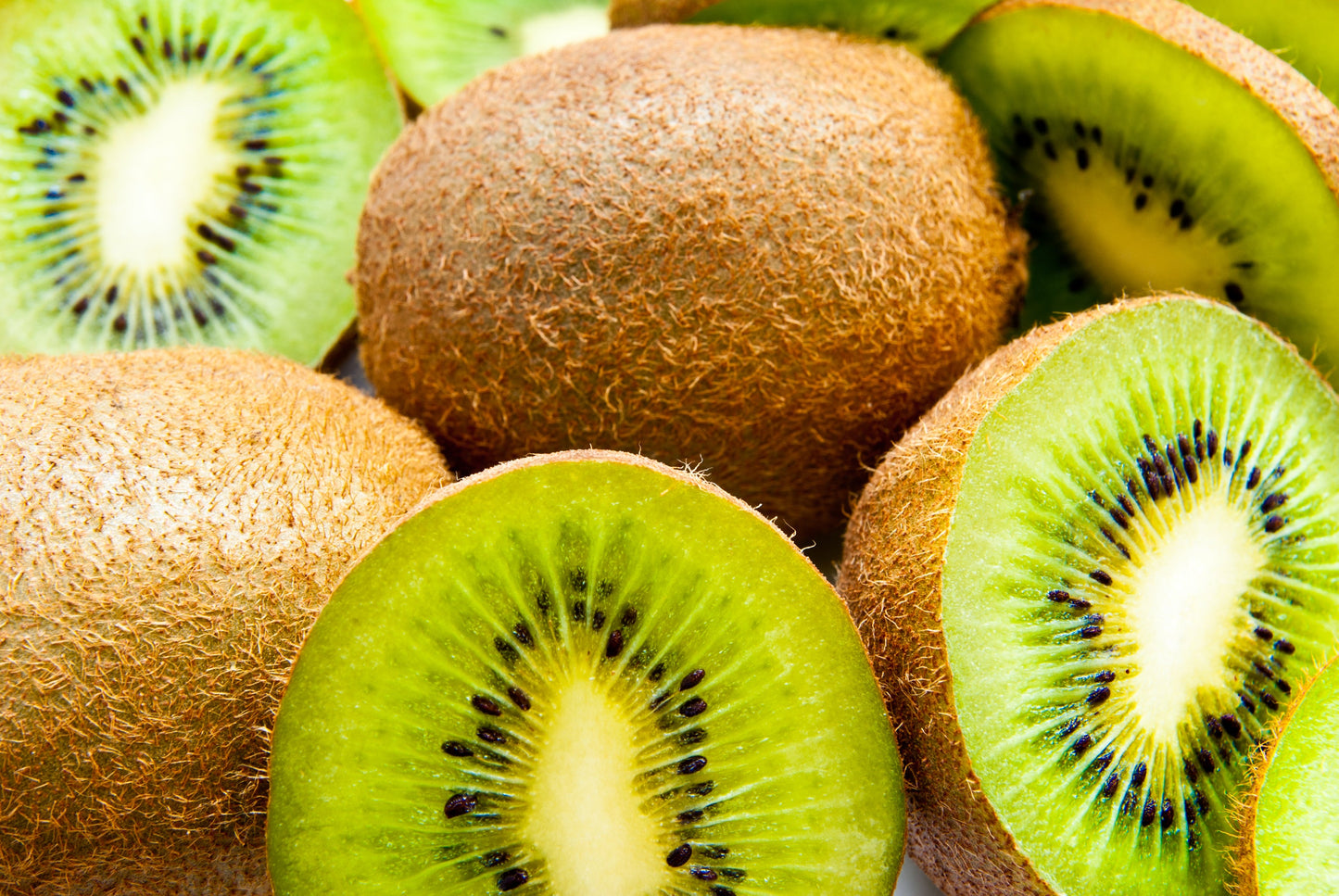 100 KIWI FRUIT Kiwi Actinidia Vine Seeds (Kiwifruit / Hardy Kiwi / Tara Vine / Yang Tao / Chinese Gooseberry / Chinese Strawberry)