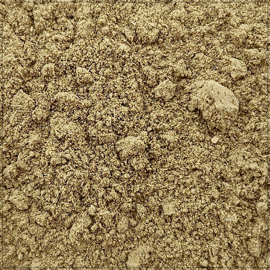 Uva Ursi Powder
