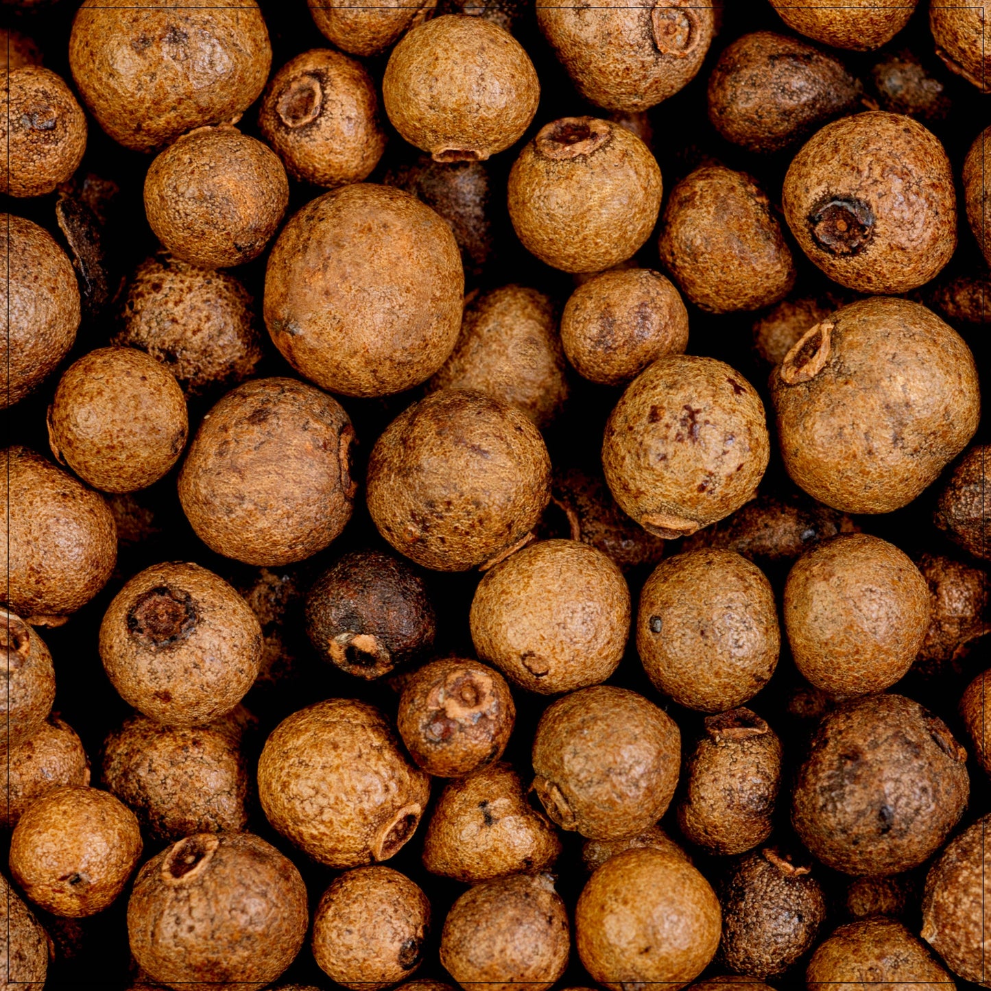 Allspice Whole