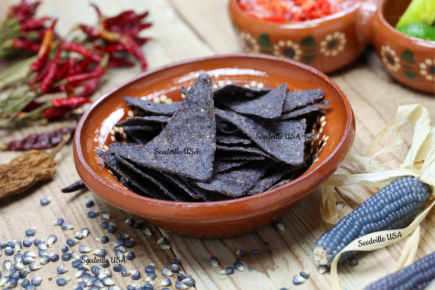 50 BLUE POPCORN Blue Kernels Pop White Corn Zea Mays Vegetable Seeds